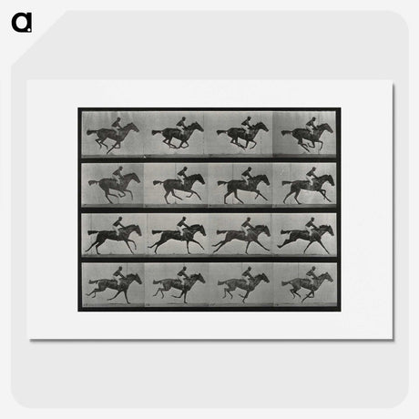 1-1_Eadweard-Muybridge_picture