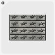 1-1_Eadweard-Muybridge_postcard