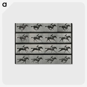 1-1_Eadweard-Muybridge_postcard
