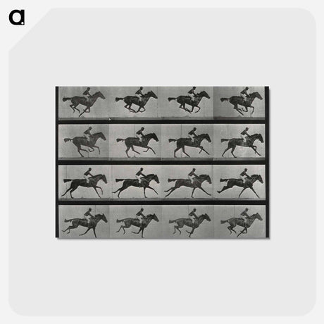 アートポストカード-Galloping Horse and Rider
 - エドワード マイブリッジ Postcard.