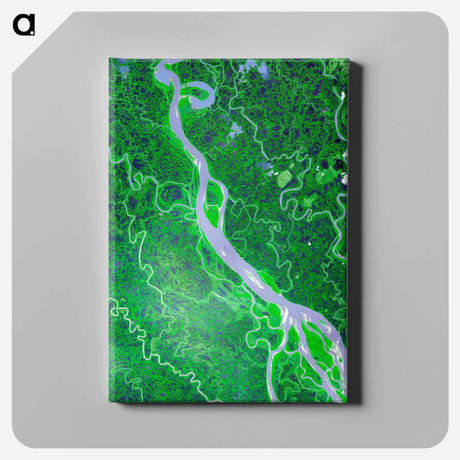 アートパネル-The Mackenzie River, Northwest Territories
 - 上空からの地球 Canvas.