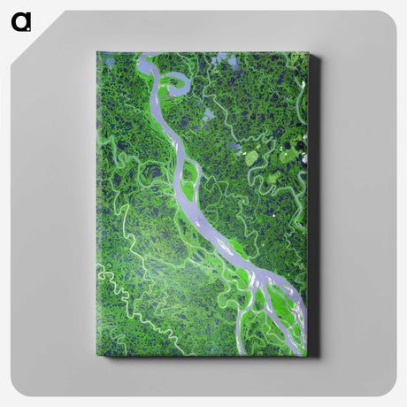 1-1_Earth-from-Above_canvas