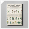 1-1_Education-Charts_canvas