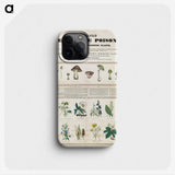 1-1_Education-Charts_phone
