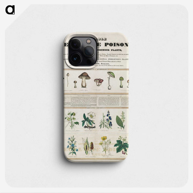 1-1_Education-Charts_phone