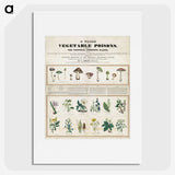 1-1_Education-Charts_picture