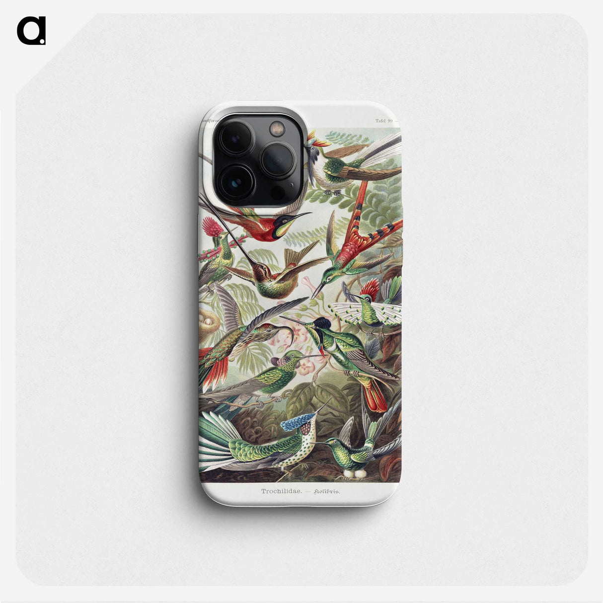 1-1_Ernst-Haeckel_phone