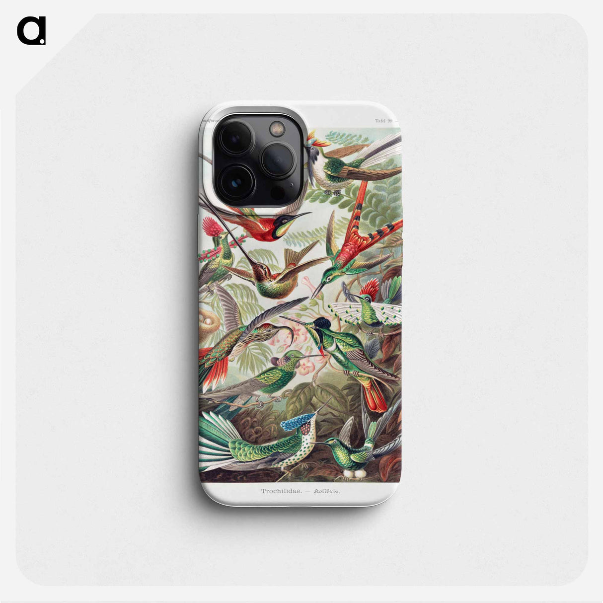 Trochilidae–Kolibris - エルンスト ヘッケル Phone Case.