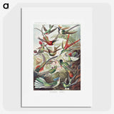 1-1_Ernst-Haeckel_picture
