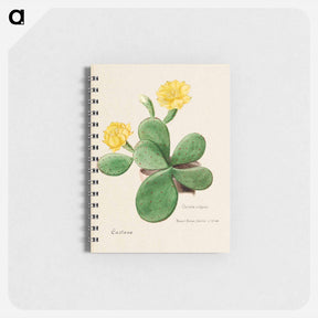 アートメモ帳-Eastern Prickly Pear
 - サボテン科 Memo.