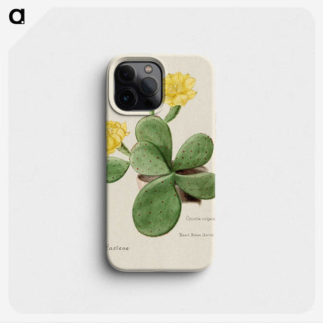 1-1_Familie-der-Cacteen_phone