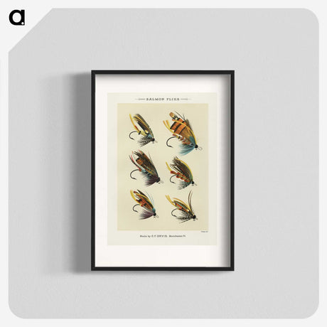 1-1_Favorite-Flies-and-Their-History_blk