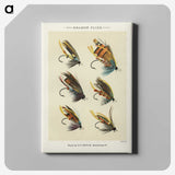 1-1_Favorite-Flies-and-Their-History_canvas