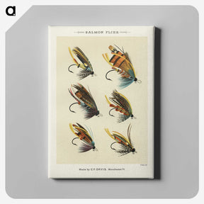 1-1_Favorite-Flies-and-Their-History_canvas