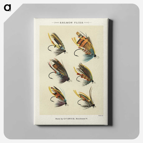 1-1_Favorite-Flies-and-Their-History_canvas