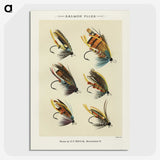 1-1_Favorite-Flies-and-Their-History_picture-crop