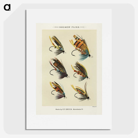 1-1_Favorite-Flies-and-Their-History_picture