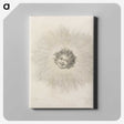 1-1_Francesco-Bartolozzi_canvas