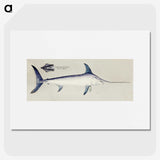 1-1_Frank-Edward-Clarke_picture