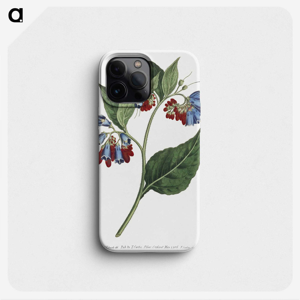 1-1_Fransis-Sansom_phone