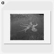 1-1_Frederick-Charles-Brockett_picture