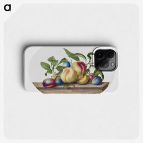 1-1_Georg-Dionysius-Ehret_phone