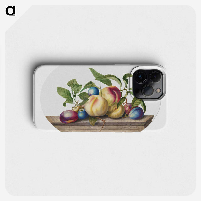 1-1_Georg-Dionysius-Ehret_phone