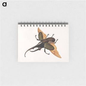 アートメモ帳-Hercules Beetle
 - ジョージ エドワーズ Memo.