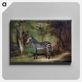 アートパネル-Zebra
 - ジョージ スタッブス Canvas.