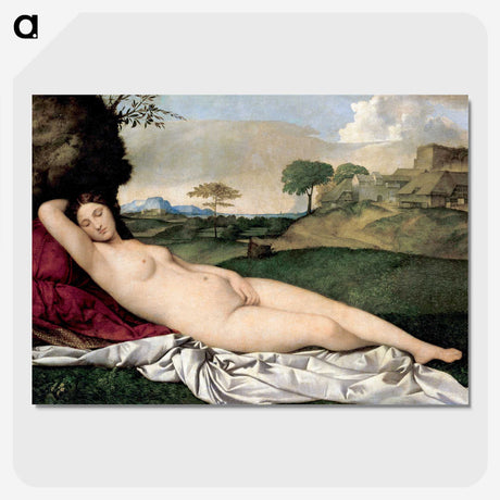 1-1_Giorgione_picture-crop