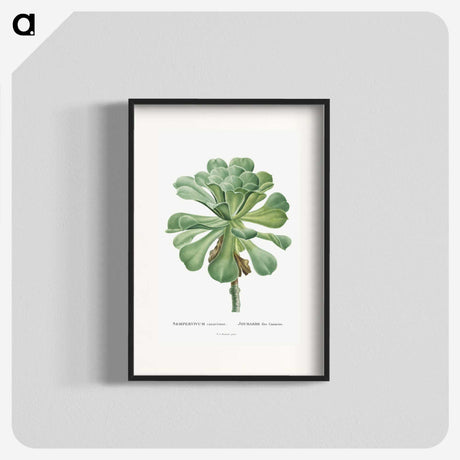 1-1_Histoire-des-Plantes-Grasses_blk
