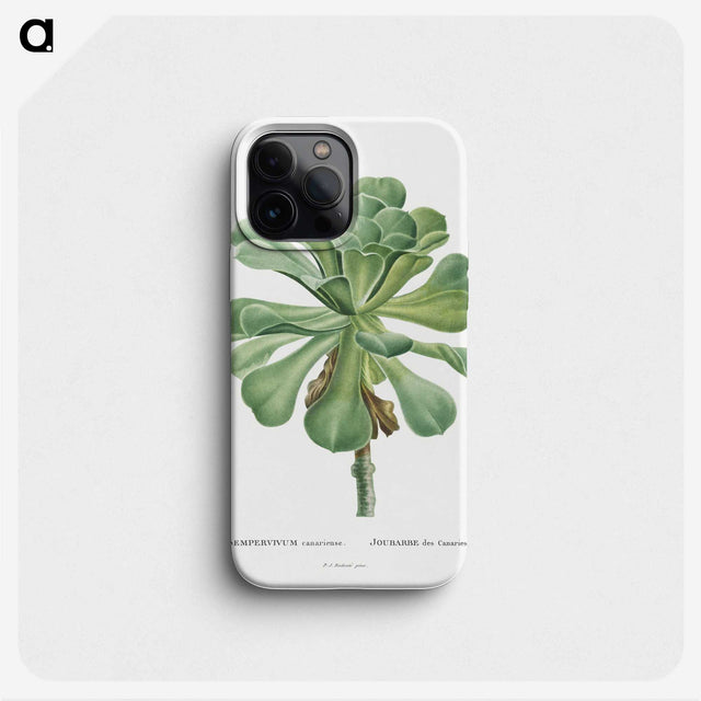 1-1_Histoire-des-Plantes-Grasses_phone