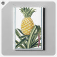 1-1_Hortus-Romanus-Botanical-Plates_canvas