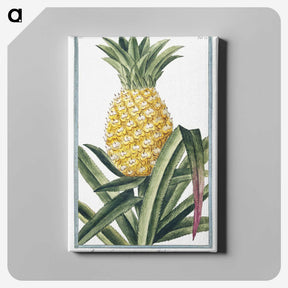 1-1_Hortus-Romanus-Botanical-Plates_canvas