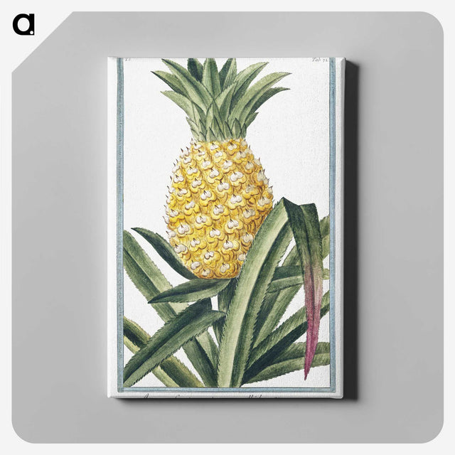 1-1_Hortus-Romanus-Botanical-Plates_canvas