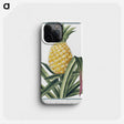 1-1_Hortus-Romanus-Botanical-Plates_phone