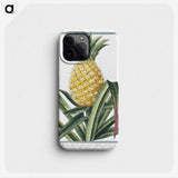1-1_Hortus-Romanus-Botanical-Plates_phone