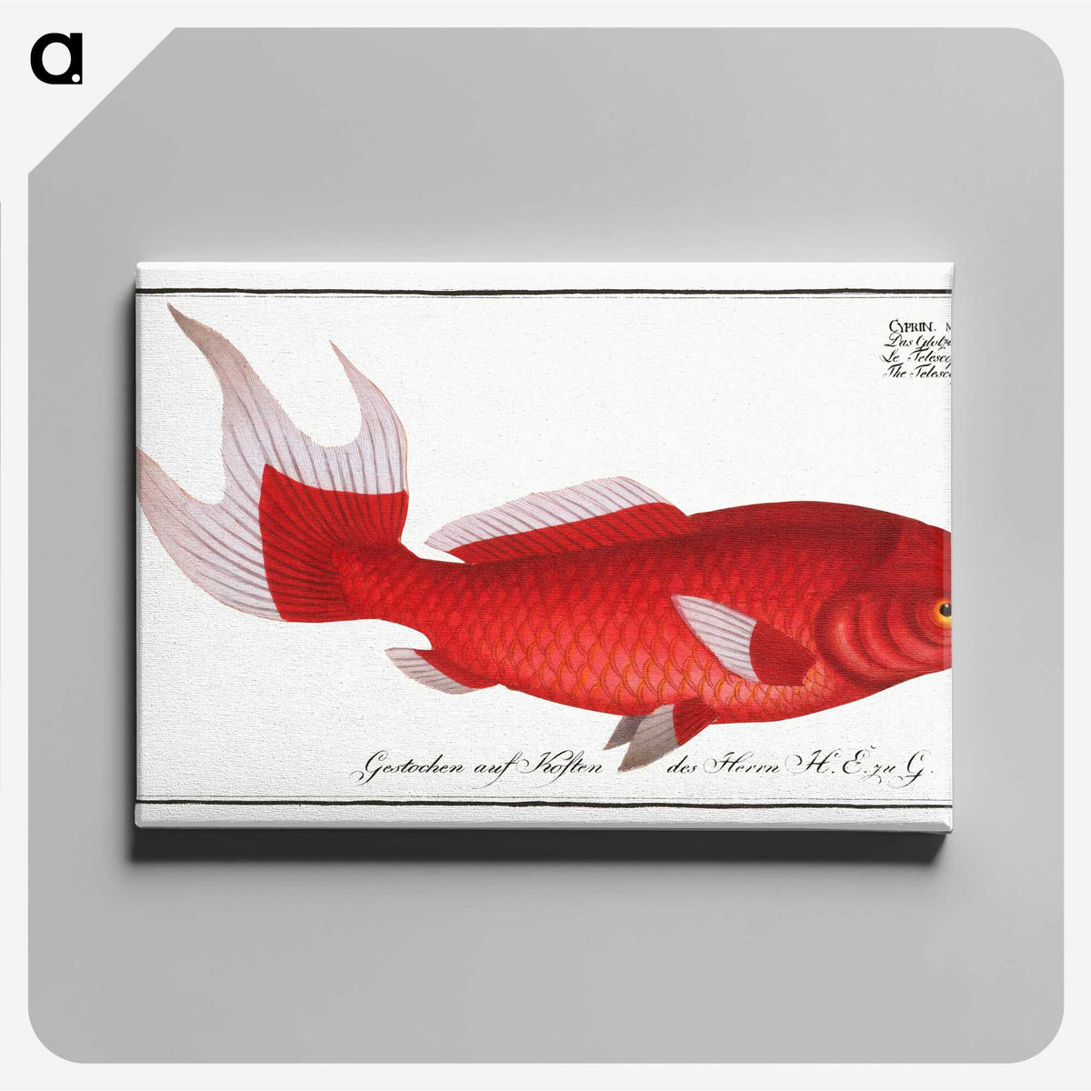 1-1_Ichtyologie-ou-Histoire-naturelle_canvas