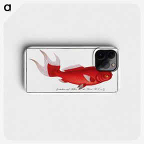 1-1_Ichtyologie-ou-Histoire-naturelle_phone