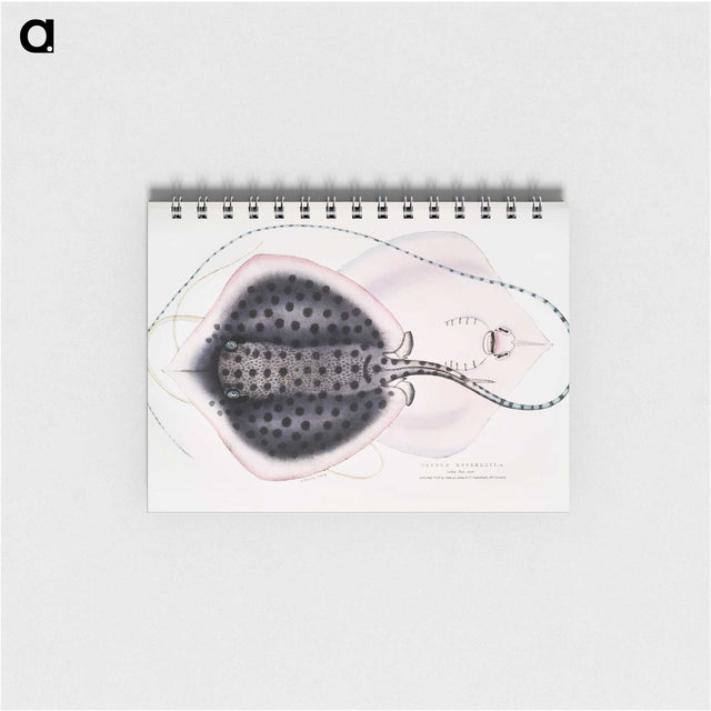 1-1_Indian-Zoology_memo