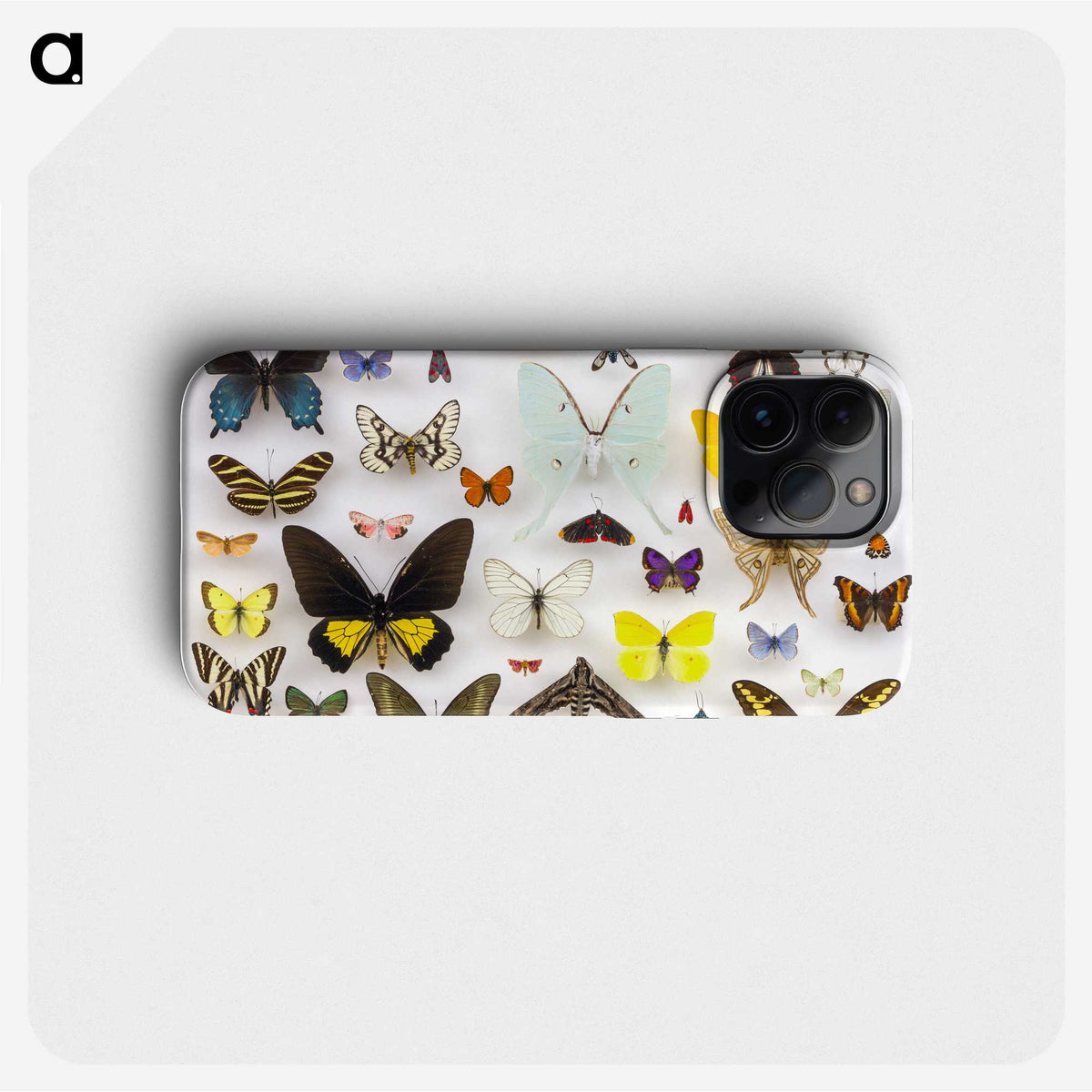 1-1_Insects-Unlocked-Project_phone