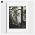 1-1_James-Walter-Chapman-Taylor_picture