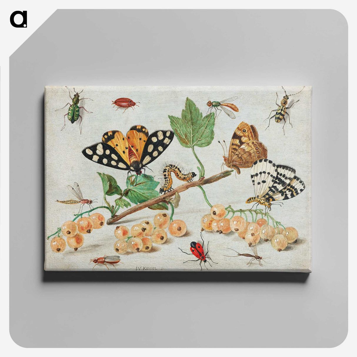 1-1_Jan-Van-Kessel_canvas