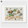 1-1_Jan-Van-Kessel_picture