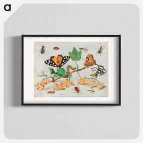 アートポスター-Insects and Fruits
 - ヤン ファン ケッセル Poster.