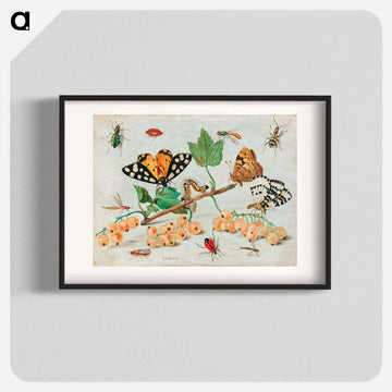 Insects and Fruits
 - ヤン ファン ケッセル Poster.