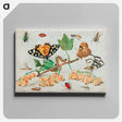 アートパネル-Insects and Fruits
 - ヤン ファン ケッセル Canvas.