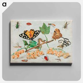 アートパネル-Insects and Fruits
 - ヤン ファン ケッセル Canvas.
