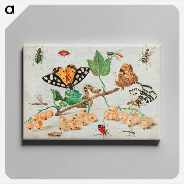 アートパネル-Insects and Fruits
 - ヤン ファン ケッセル Canvas.