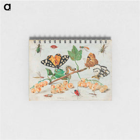 アートメモ帳-Insects and Fruits
 - ヤン ファン ケッセル Memo.